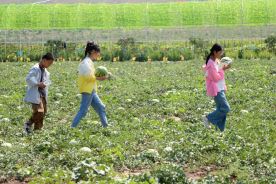 yd2333云顶电子游戏(中国)有限公司