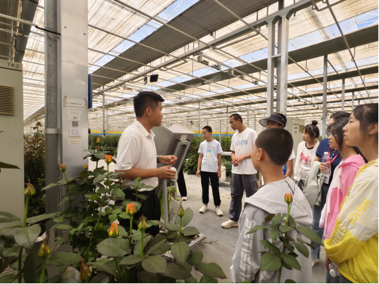 yd2333云顶电子游戏(中国)有限公司