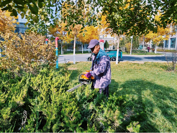 yd2333云顶电子游戏(中国)有限公司